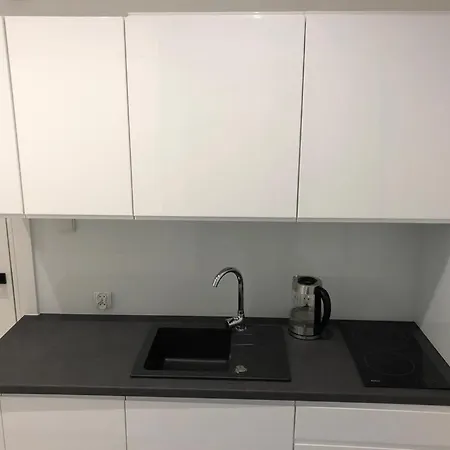 Apartament Krauthofera Apartment *